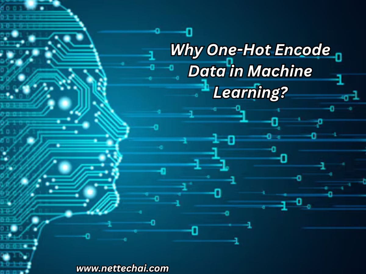 Why-One-Hot-Encode-Data-in-Machine-Learning.jpg
